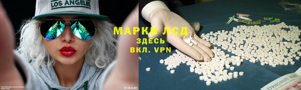 MDMA Гатчина