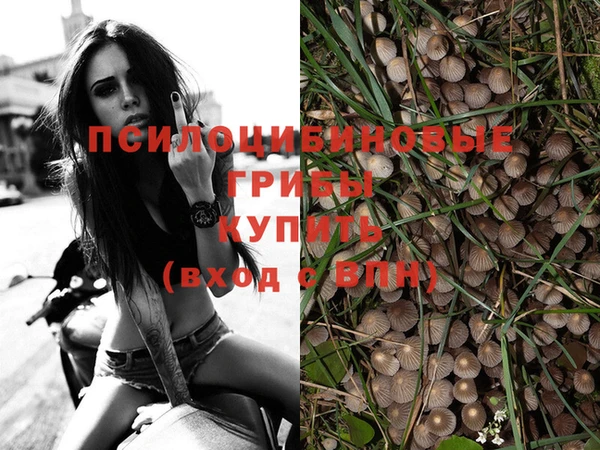 mdma Нефтегорск