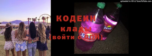 ПСИЛОЦИБИНОВЫЕ ГРИБЫ Галич