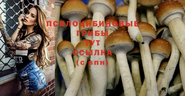 спайс Нефтекумск