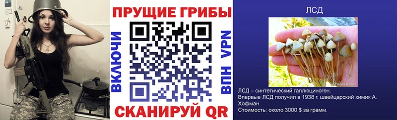 Галлюциногенные грибы GOLDEN TEACHER Знаменск