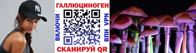Галлюциногенные грибы GOLDEN TEACHER  Знаменск 
