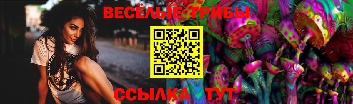 Галлюциногенные грибы Psilocybe  Галлюциногенные грибы мицелий  Знаменск  Вход с VPN 
